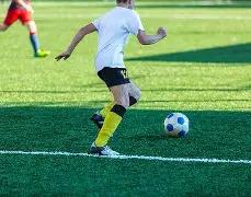 双色球,期独家揭秘,专业软件精,山东体彩,山东体彩网,山东体彩网官网,体育彩票,体彩大乐透,竞彩足球,体彩公益