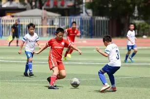 揭秘彩界奇,大乐透,期独家后区,山东体彩,山东体彩网,山东体彩网官网,体育彩票,体彩大乐透,竞彩足球,体彩公益
