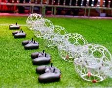 年首期大乐,透独家预测,前区必中秘,山东体彩,山东体彩网,山东体彩网官网,体育彩票,体彩大乐透,竞彩足球,体彩公益