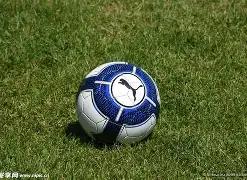 双色球秘籍,独家一码定,蓝绝杀,山东体彩,山东体彩网,山东体彩网官网,体育彩票,体彩大乐透,竞彩足球,体彩公益