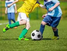 隔心岛秘籍,大乐透,独家预测,山东体彩,山东体彩网,山东体彩网官网,体育彩票,体彩大乐透,竞彩足球,体彩公益