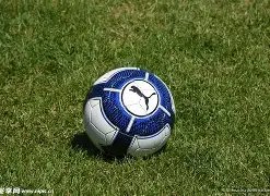 奇彩揭秘,体彩排列三,独家预测,山东体彩,山东体彩网,山东体彩网官网,体育彩票,体彩大乐透,竞彩足球,体彩公益