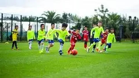 山东体彩网 资讯 090709 dqp