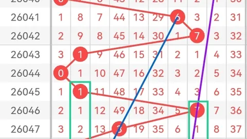 双色球第024期中09宝推荐分析，上期龙头04预测