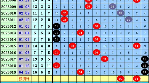 第2026095期 大乐透2026095期专家质合分析推荐前
