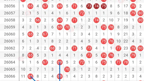 大乐透26067期专家推荐质合分析稳号预测